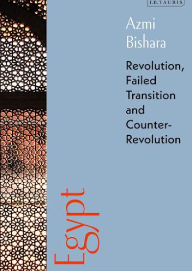 Egypt - Revolution, Failed Transition and Counter-Revolution
